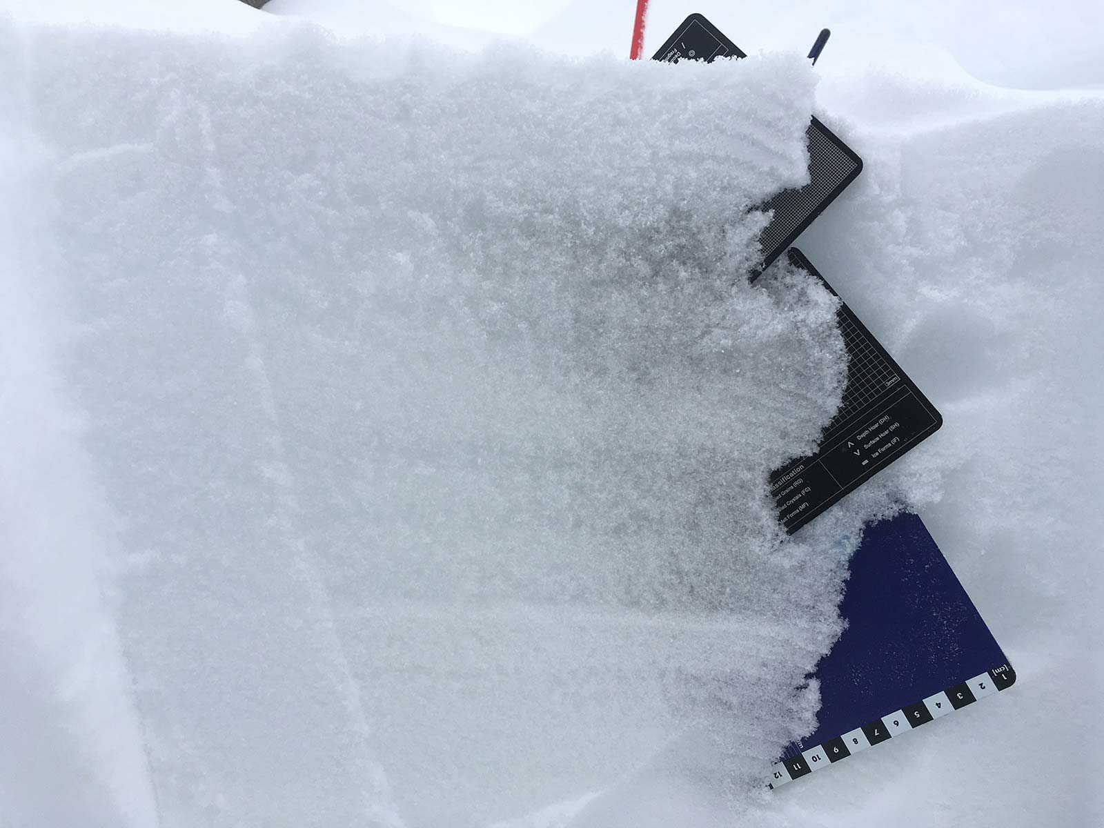 Schneekristalle | ÖGSL – Österreichische Gesellschaft für Schnee und Lawinen